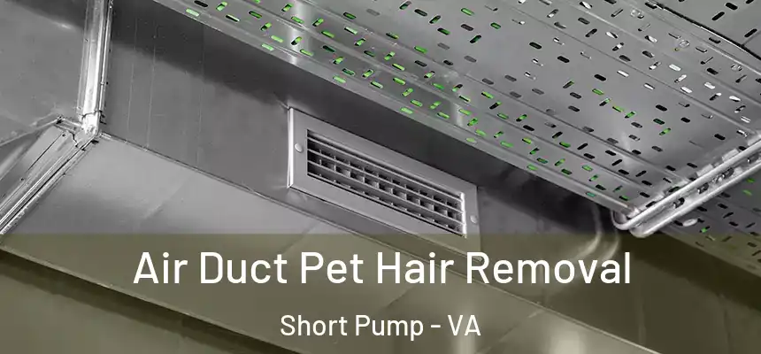 Air Duct Pet Hair Removal Short Pump - VA