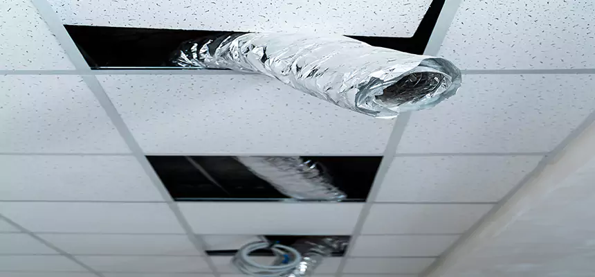 Our Air Duct Pet Hair Removal Services in Short Pump, VA