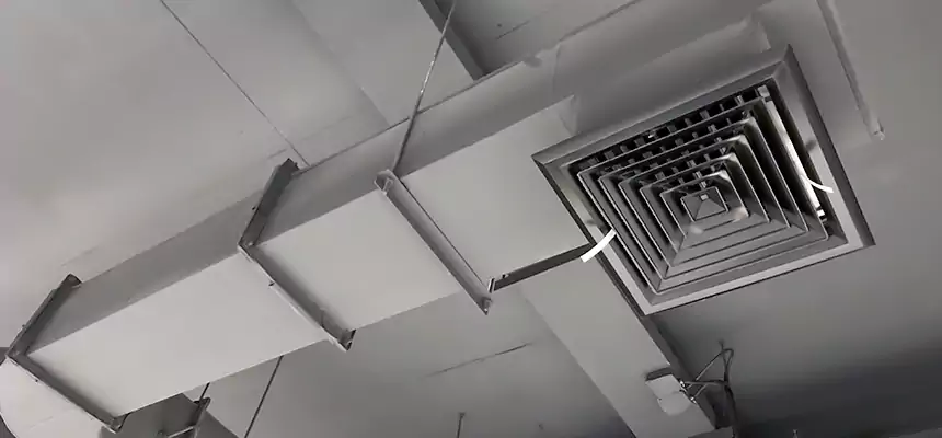 Our Pest Removal From Ducts Services in Short Pump, VA