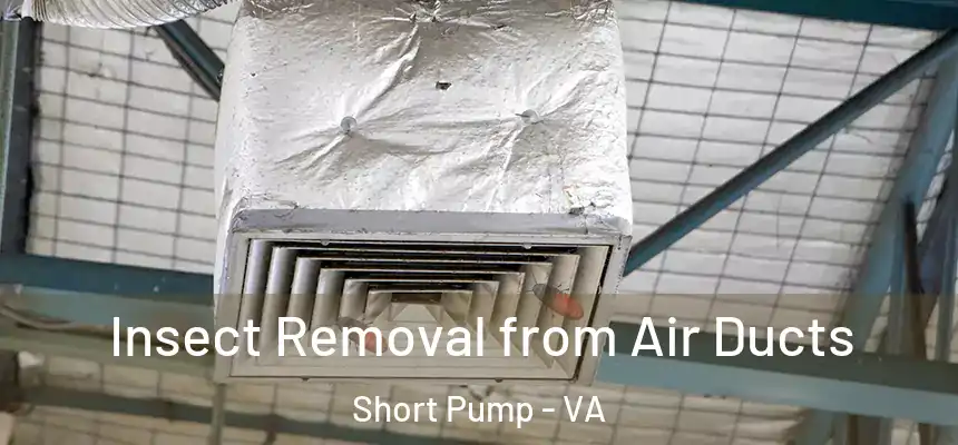  Insect Removal from Air Ducts Short Pump - VA