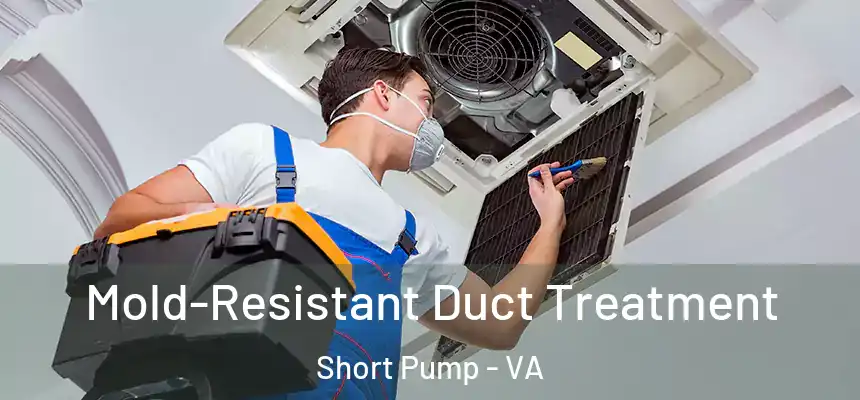 Mold-Resistant Duct Treatment Short Pump - VA