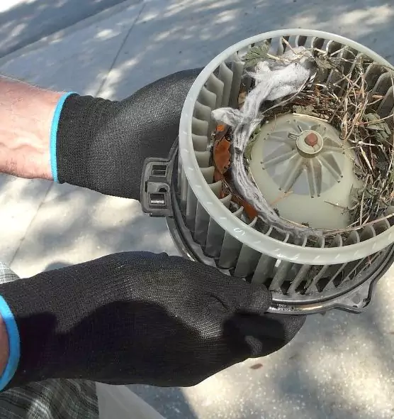 About Air Duct Mice Removal in Short Pump, VA