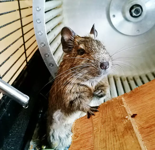 Why Homeowners & Businesses Trust Us Short Pump, VA?