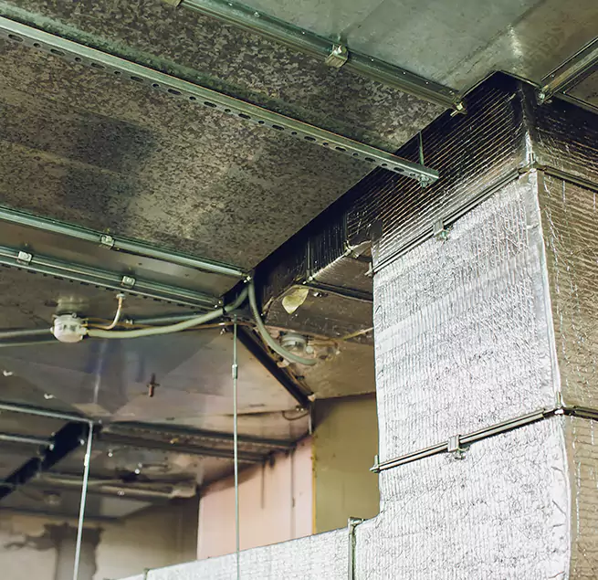 Why Homeowners & Businesses Trust Us in Short Pump, VA?